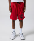 Short Jordan Mesh Performance