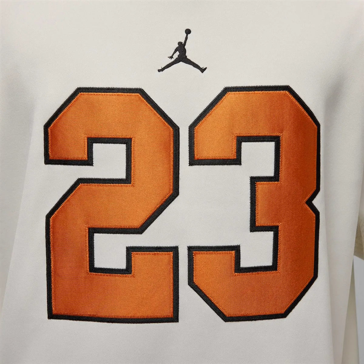 Polera Jordan Brooklyn Hombre