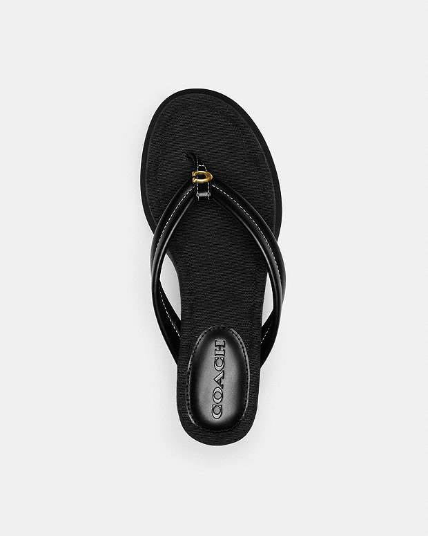 Sandalia Coach