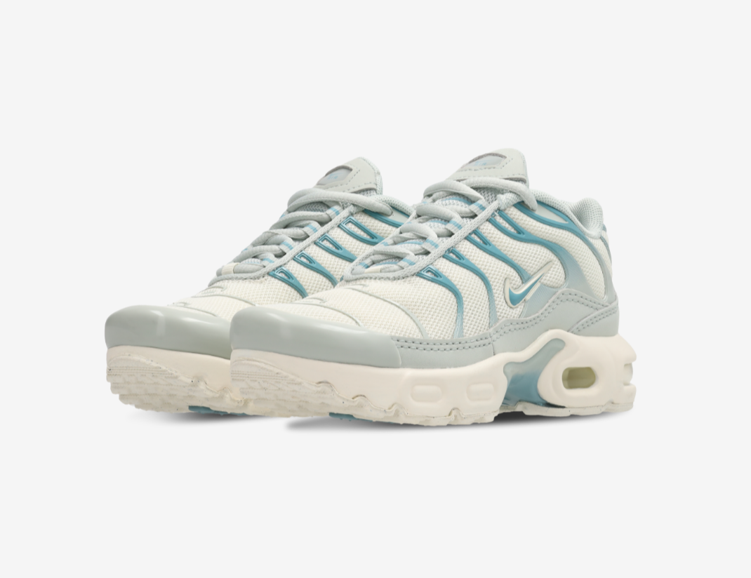 Zapatilla Nike Air Max Plus Tuned