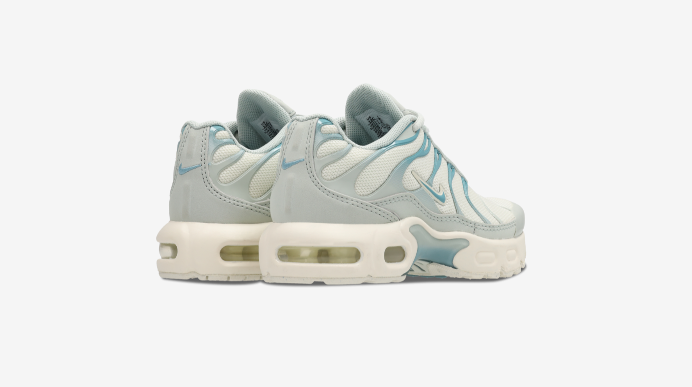 Zapatilla Nike Air Max Plus Tuned