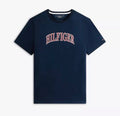 Polera Tommy Hilfiger Hombre