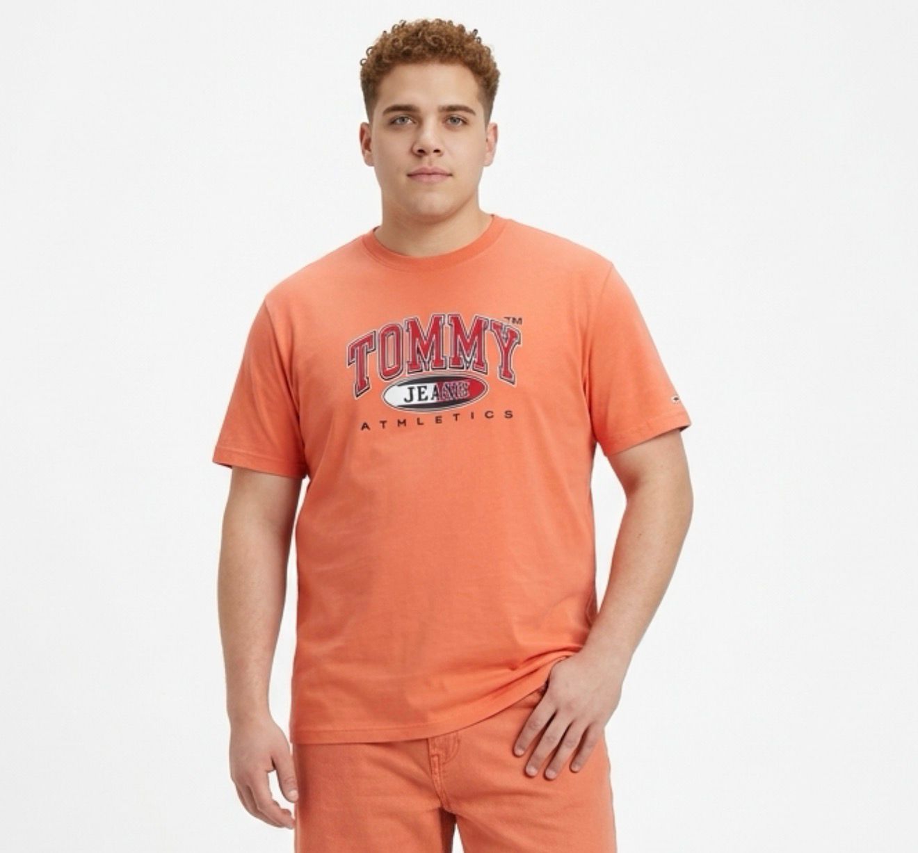 Polera Tommy Hilfiger Hombre