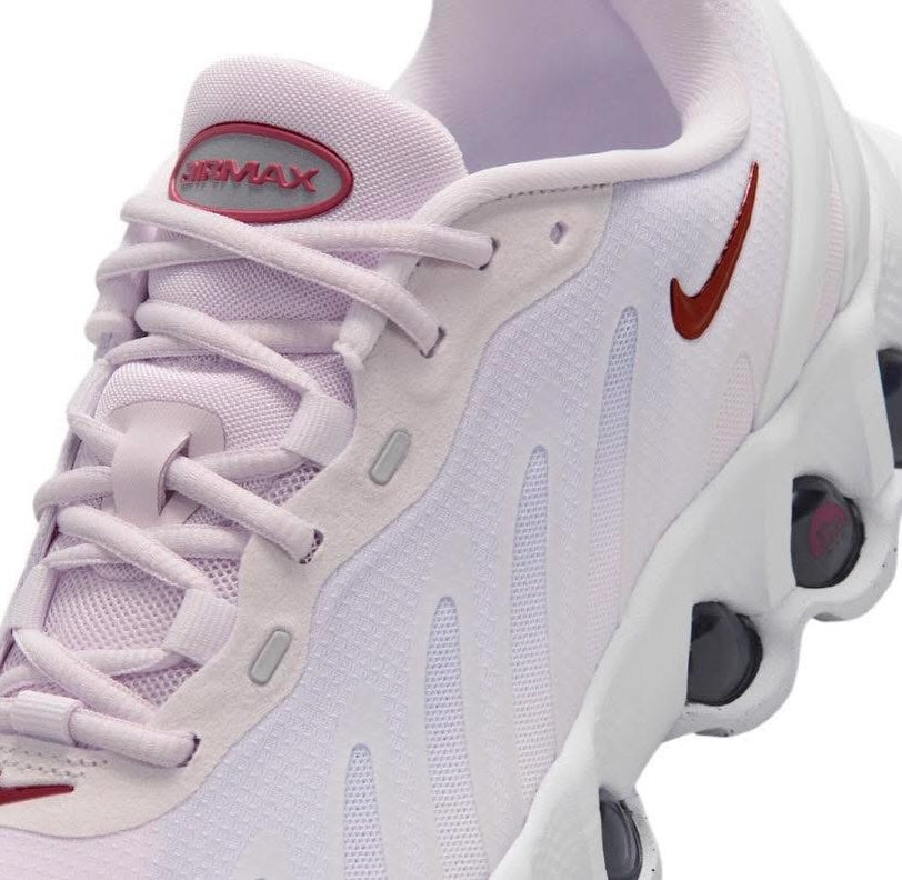 Zapatilla Nike Air Max DN8