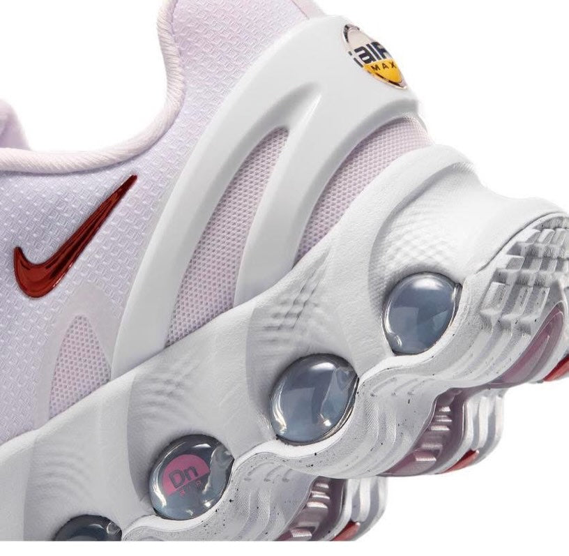 Zapatilla Nike Air Max DN8
