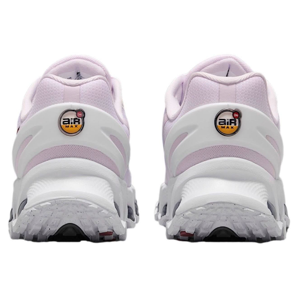 Zapatilla Nike Air Max DN8