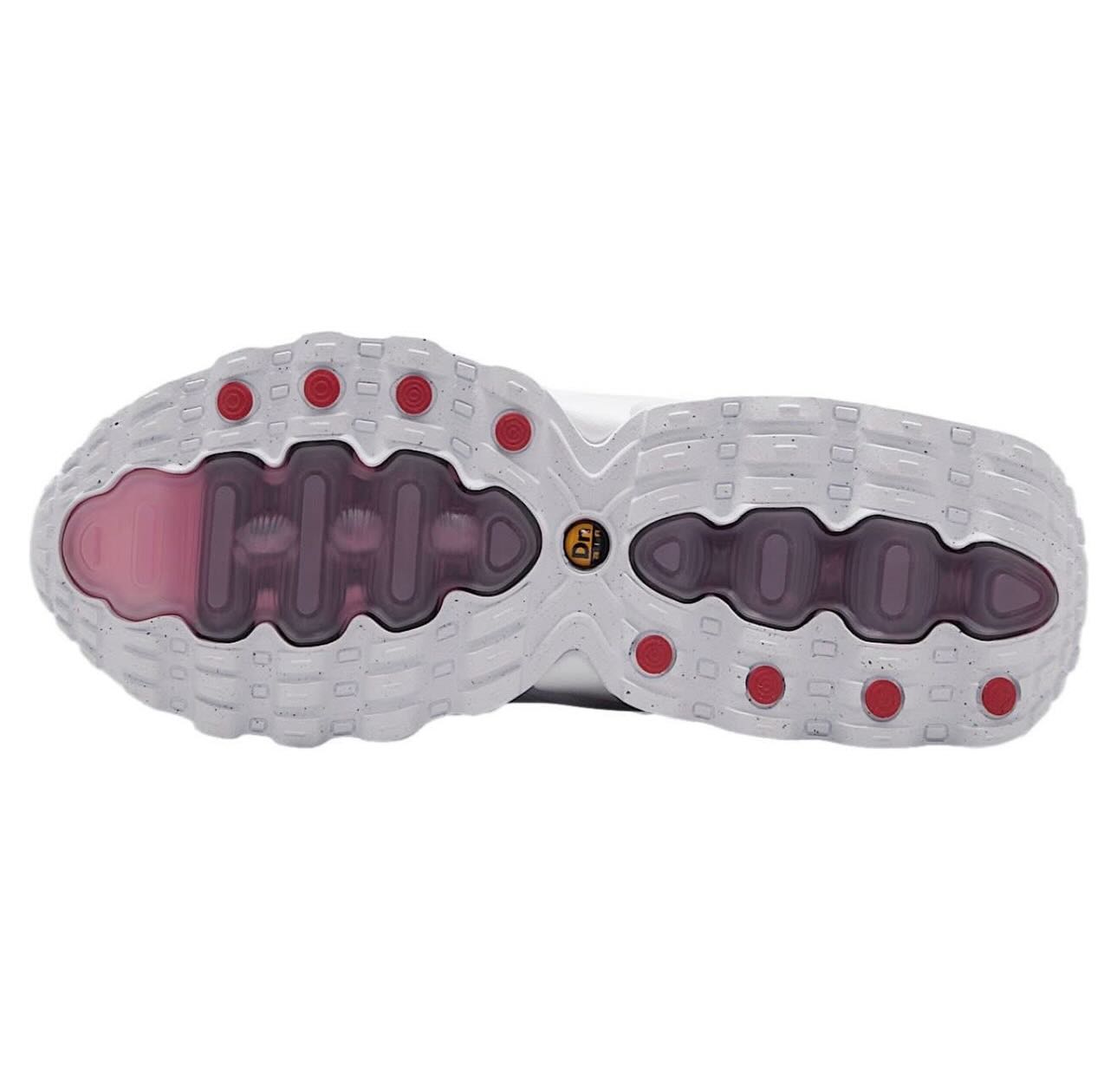 Zapatilla Nike Air Max DN8